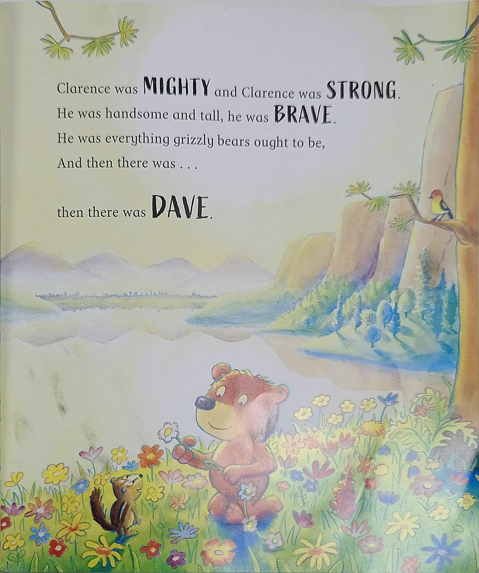 Brave Dave (Paperback)