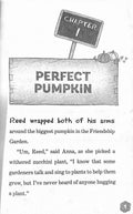 Friendship Garden #2 Pumpkin Spice