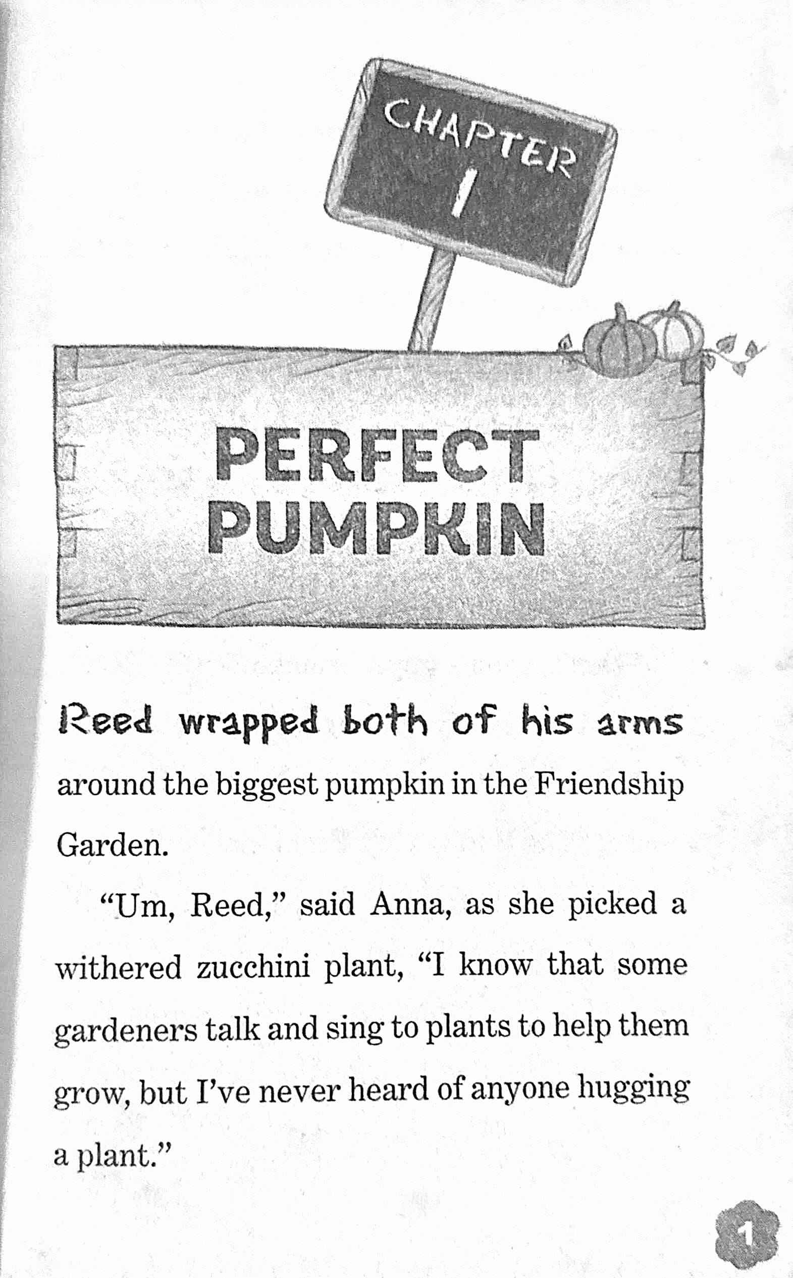 Friendship Garden #2 Pumpkin Spice