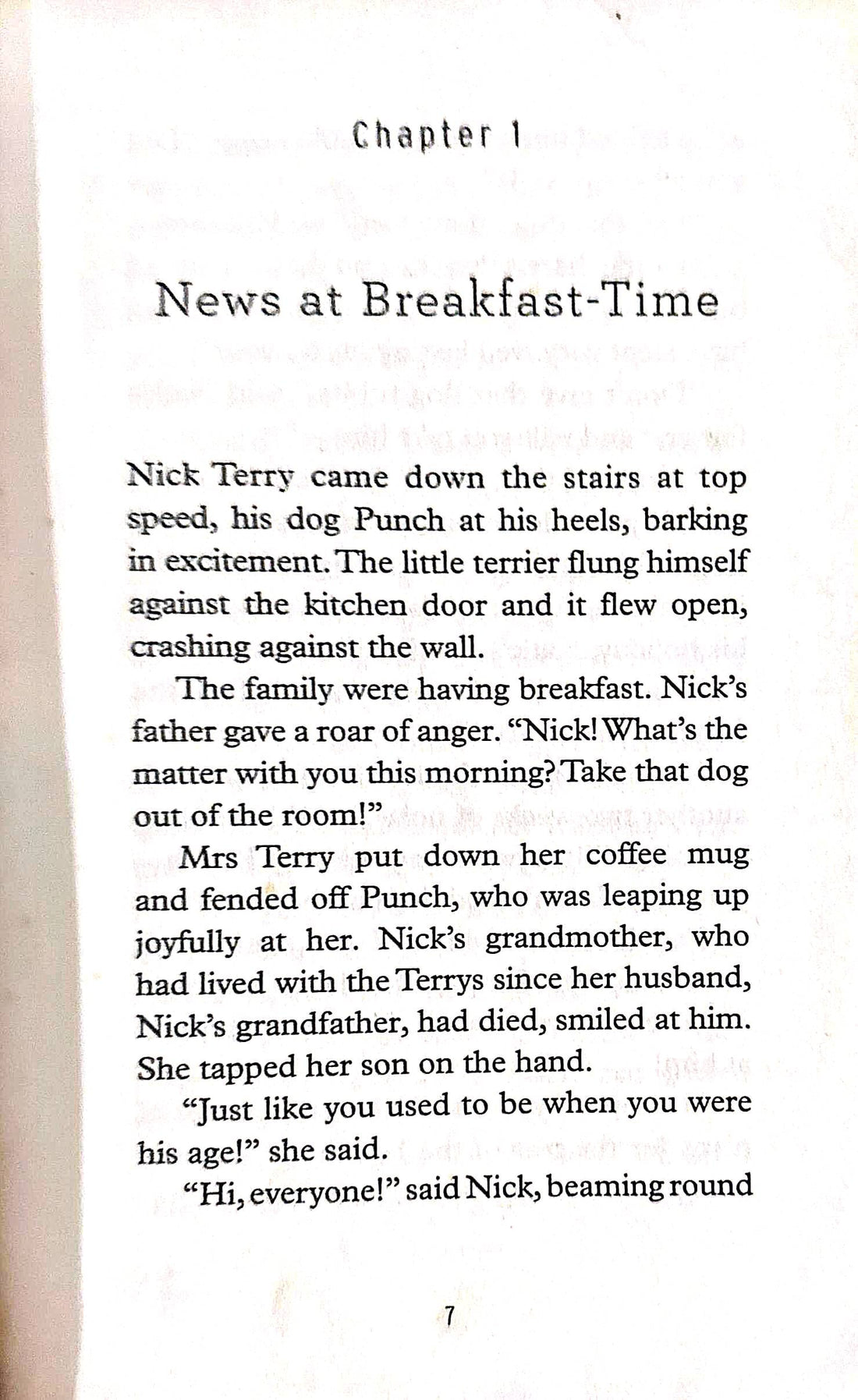 The Riddle Series #2 The Riddle That Never Was