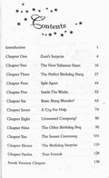 Enid Blyton's Enchanted World #6 Silky and the Everlasting Candle