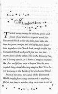 Enid Blyton's Enchanted World #6 Silky and the Everlasting Candle