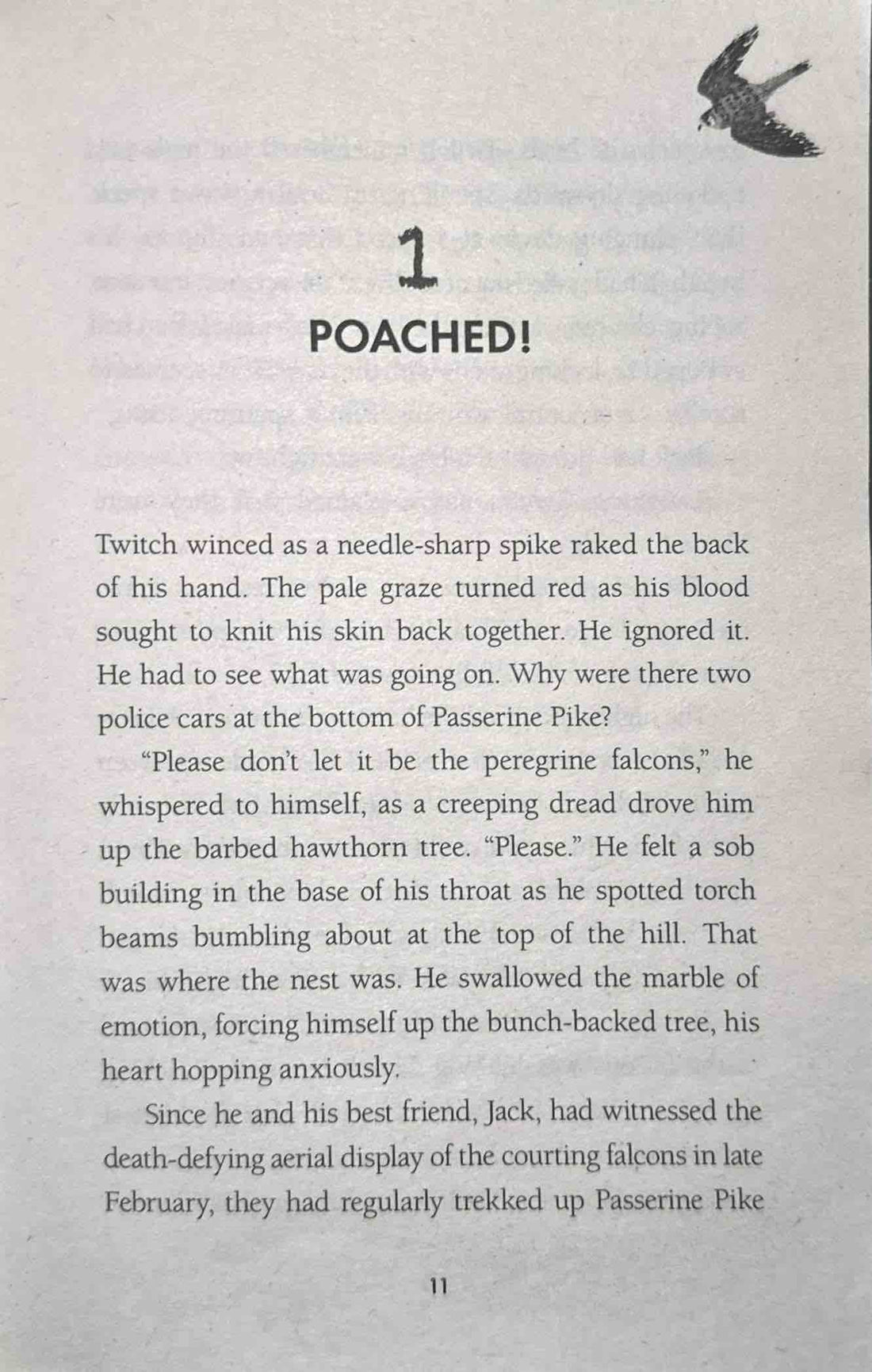 The Twitchers #3 Clutch