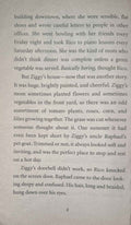 Clubhouse Mysteries #1 The Buried Bones Mystery