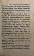 The Riddle Series #6 The Riddle of the Boy Next Door