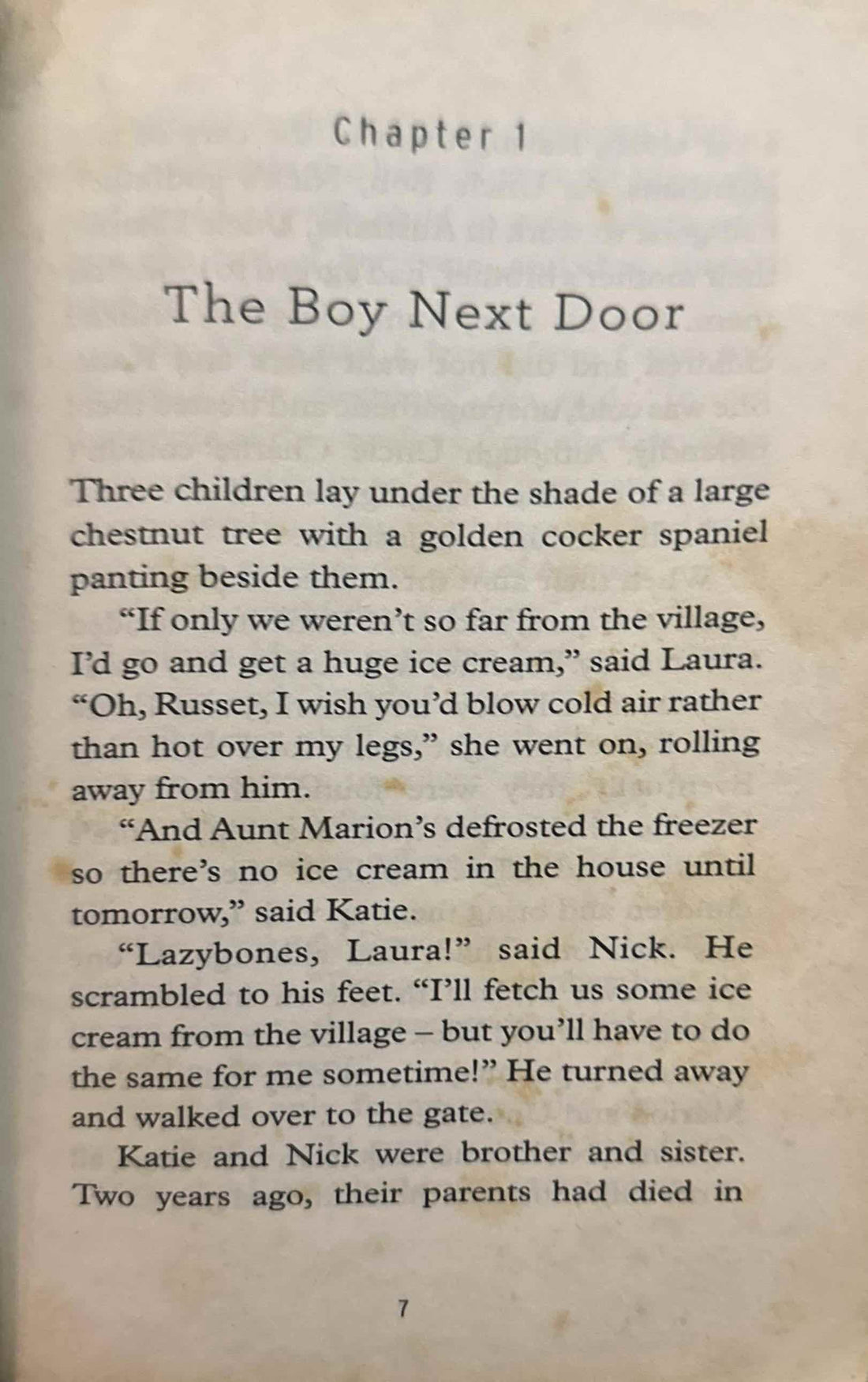 The Riddle Series #6 The Riddle of the Boy Next Door