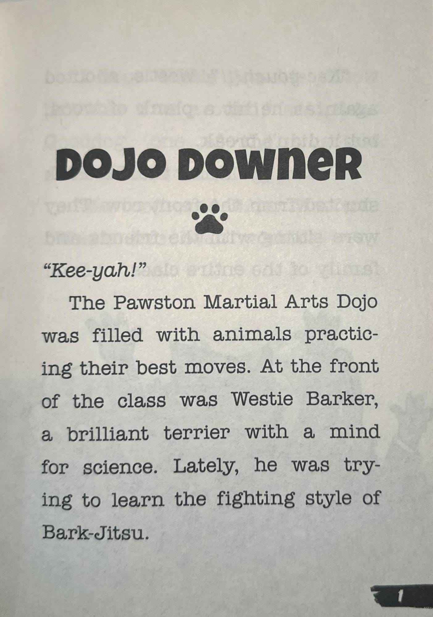 Rider Woofson #4 Ghosts and Goblins and Ninja, Oh My!