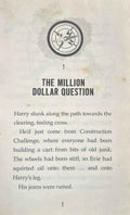 A Bear Grylls Adventure #9 The Cave Challenge
