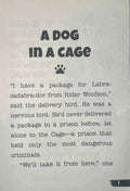 Rider Woofson #7 Labra-Cadabra-Dor's Revenge