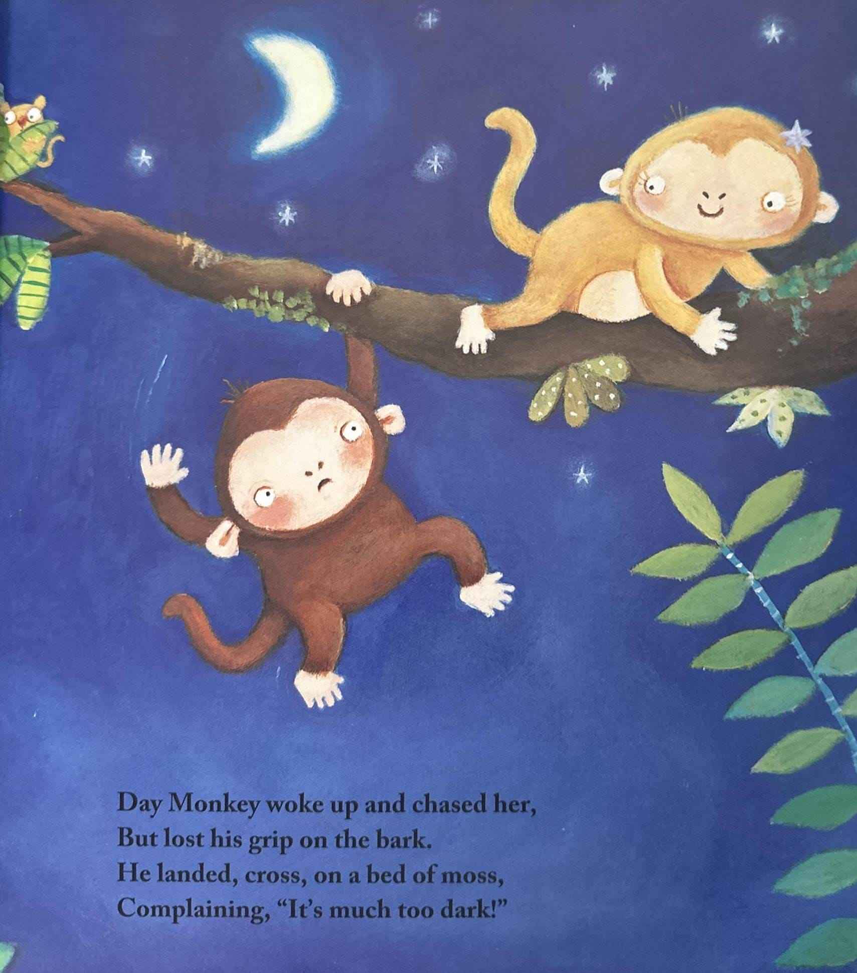 Night Monkey, Day Monkey (Paperback)