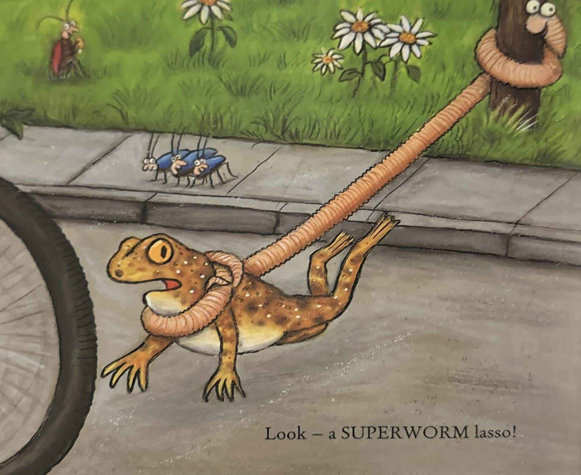 Superworm (Board Book)
