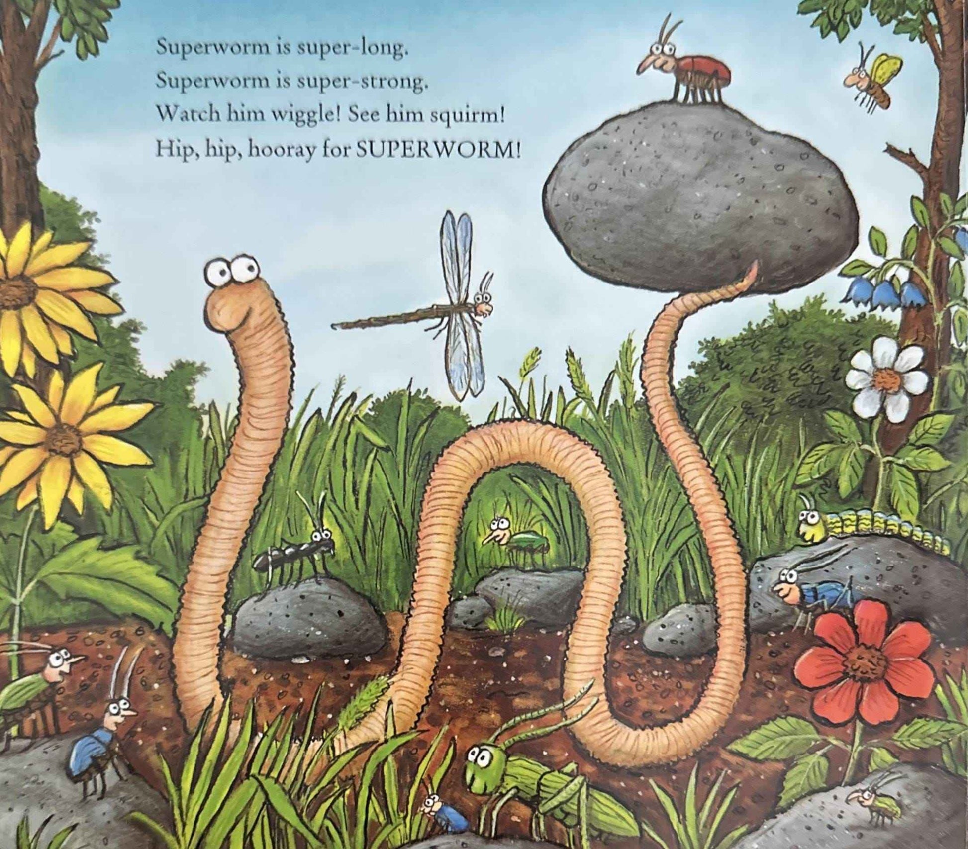Superworm (Board Book)