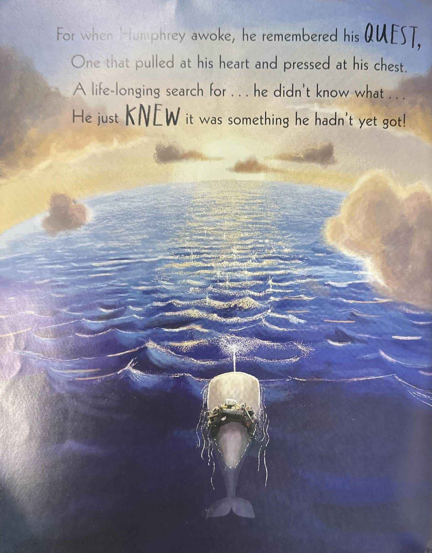 The Whale Who Wanted More (Paperback)