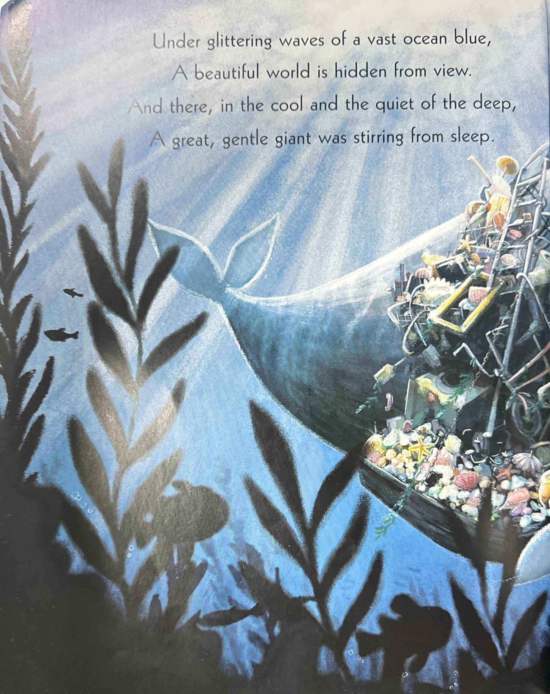 The Whale Who Wanted More (Paperback)