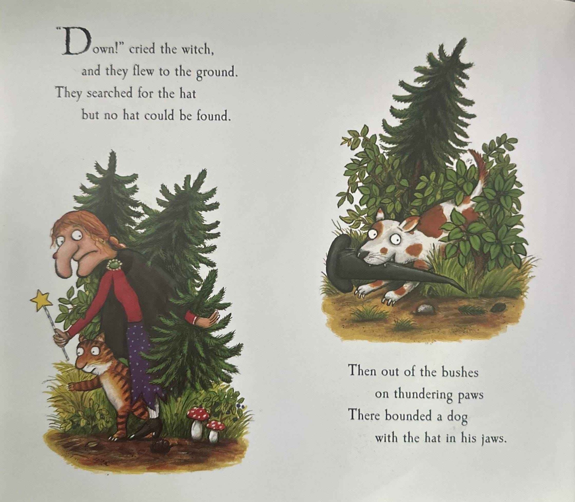 Room on the Broom (Paperback)