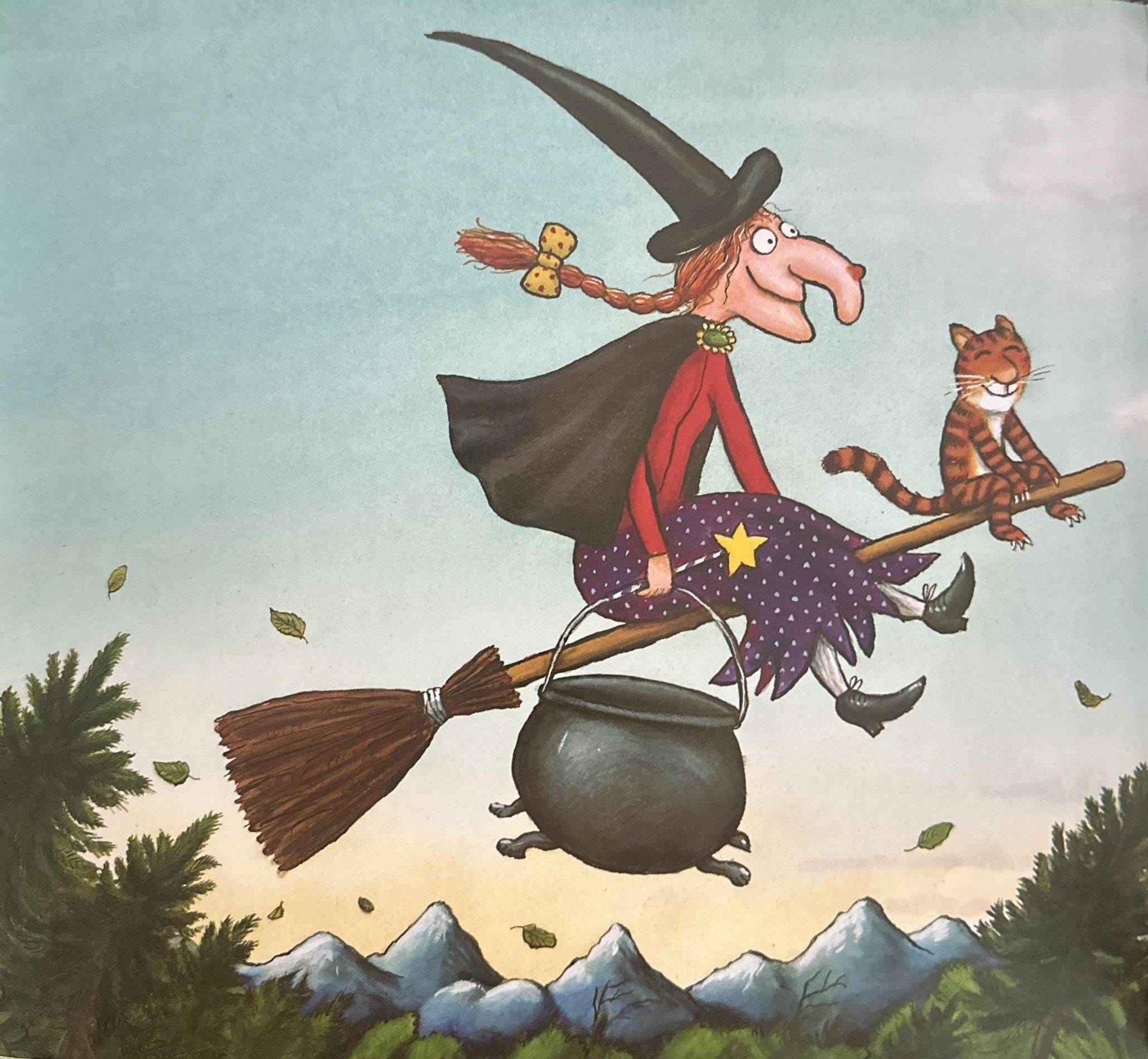 Room on the Broom (Paperback)