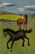 Black Beauty (Ladybird Classics)