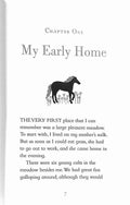 Black Beauty (Ladybird Classics)