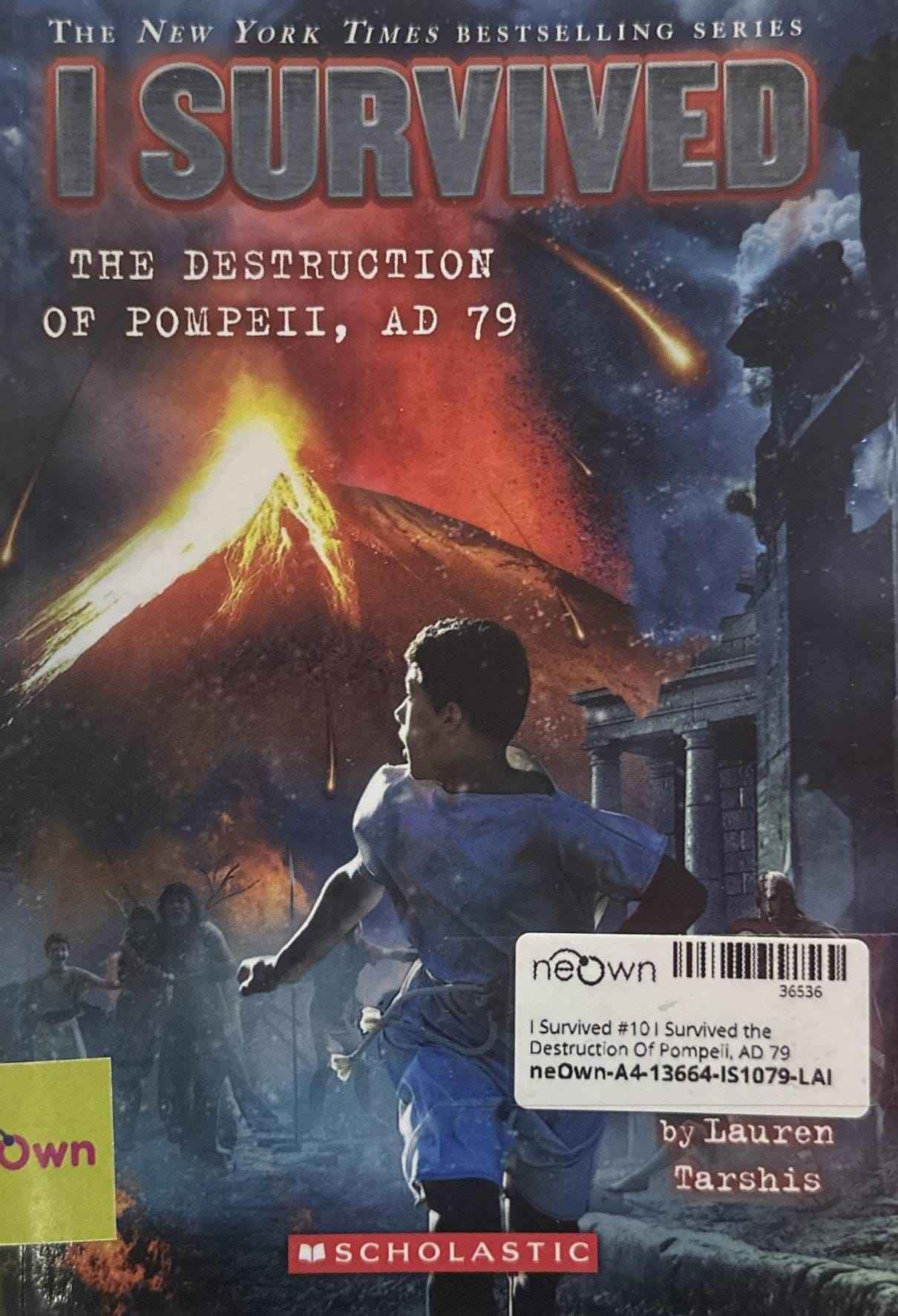 I Survived #10 I Survived the Destruction Of Pompeii, AD 79