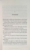 An M4 Mystery #2 The Case of the Missing Turtles
