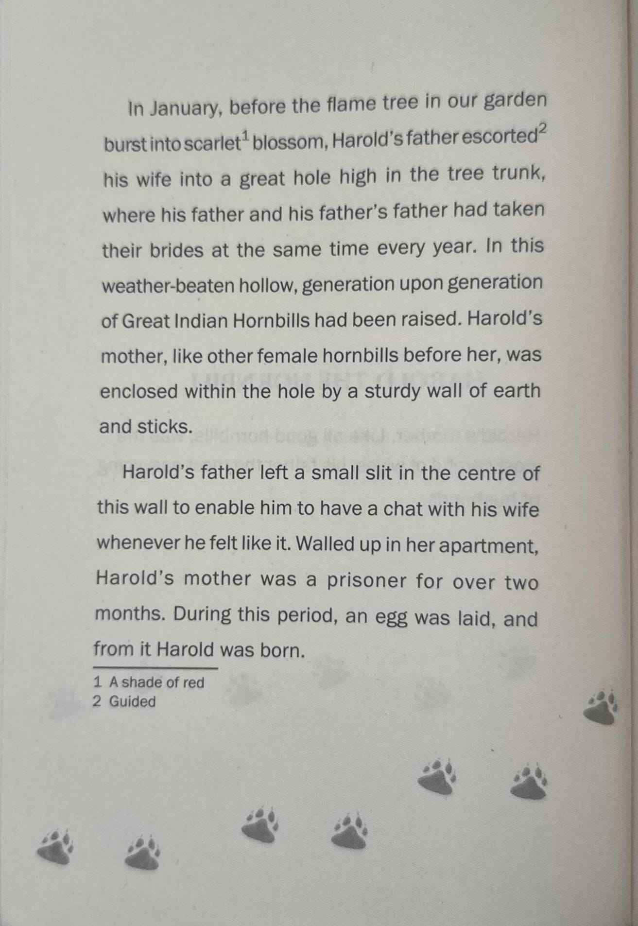 Animal Stories