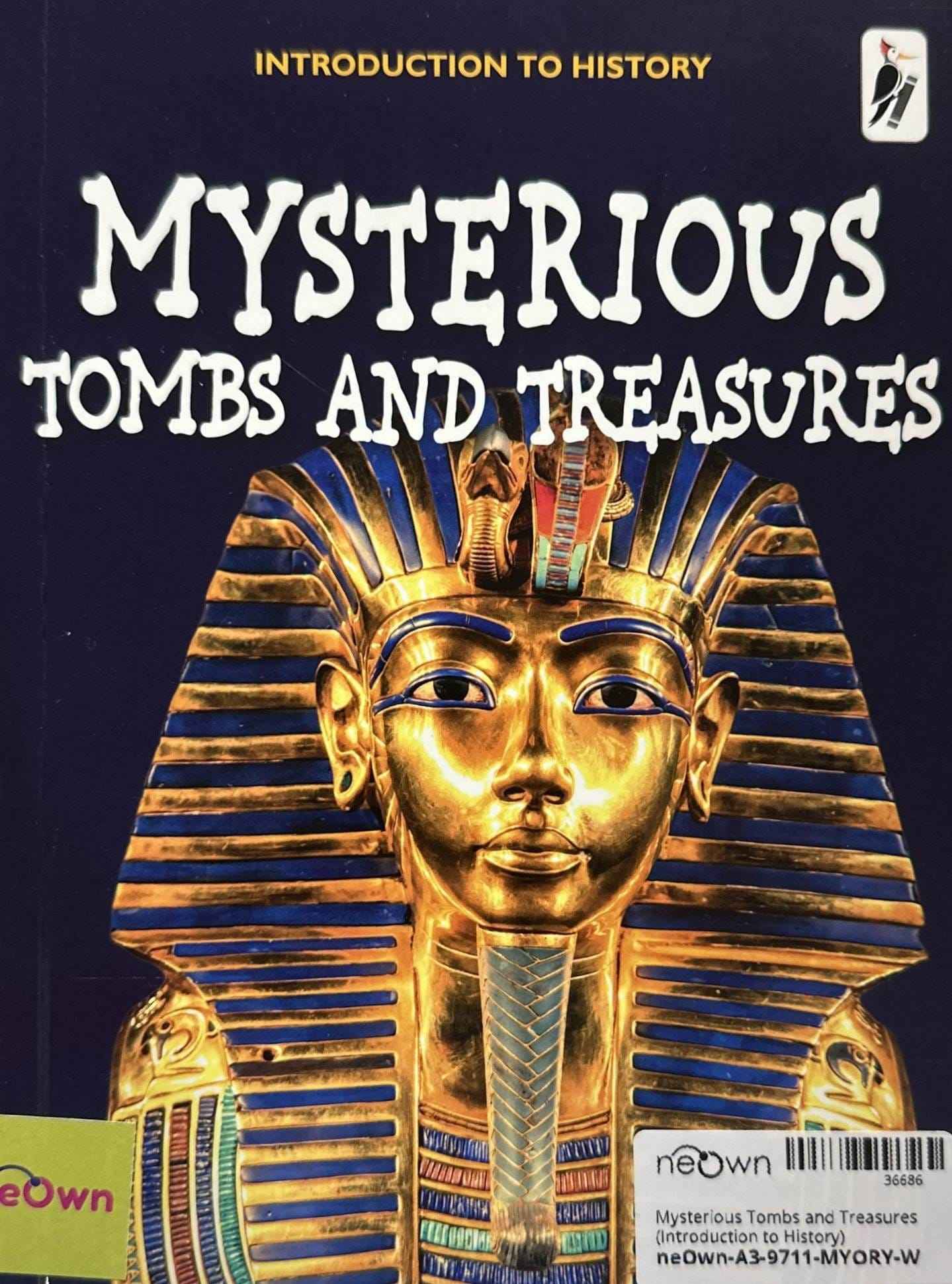 Mysterious Tombs and Treasures (Introduction to History)