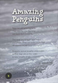 Penguins (Introduction to Nature)