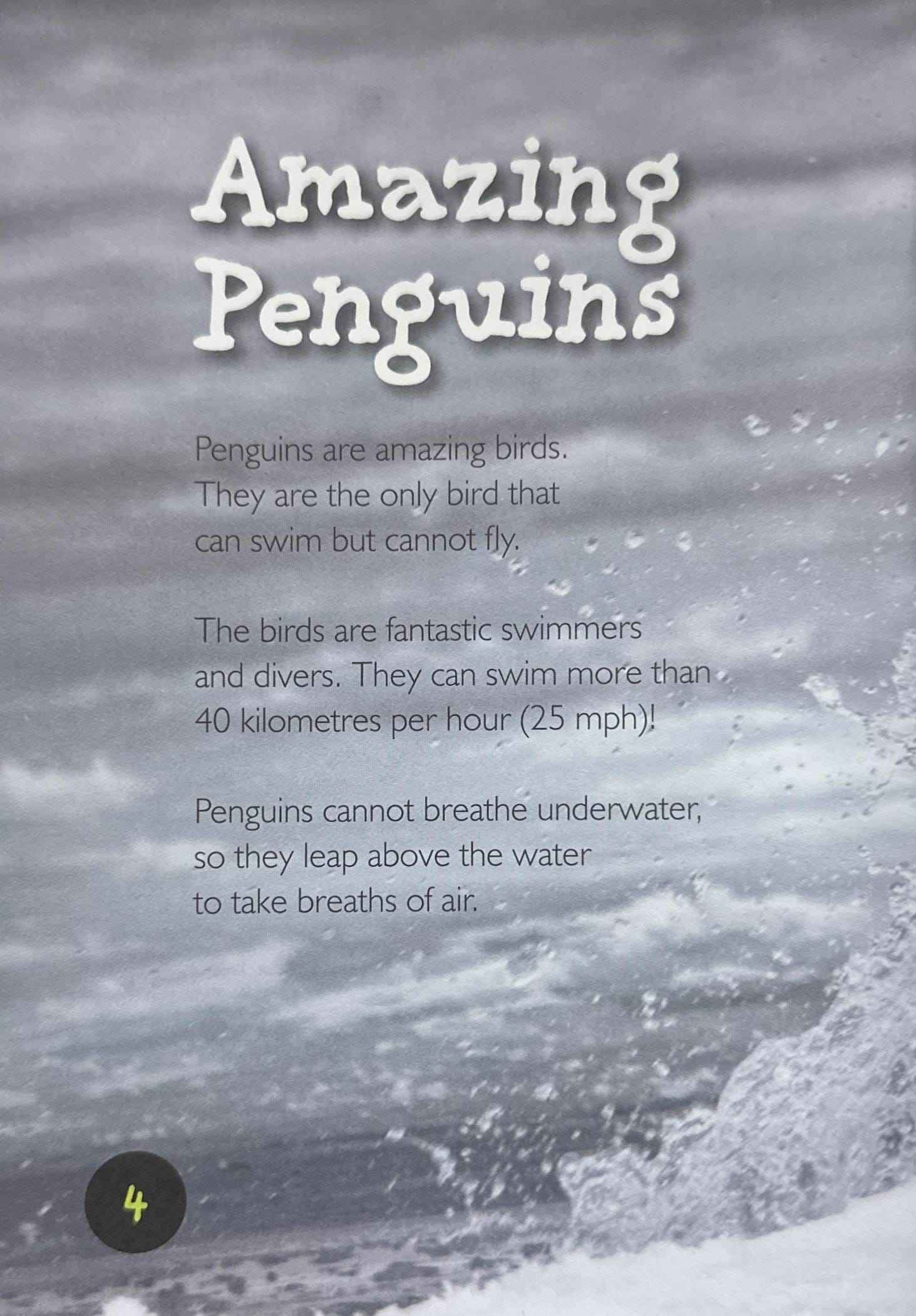 Penguins (Introduction to Nature)