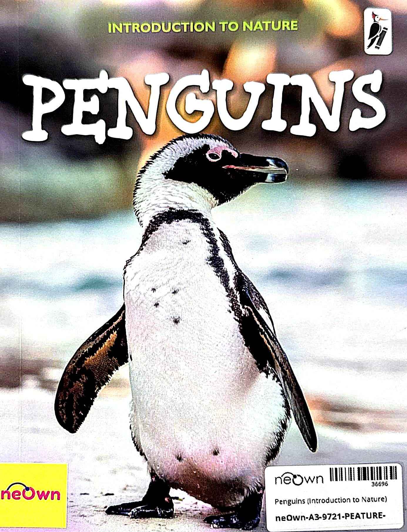 Penguins (Introduction to Nature)
