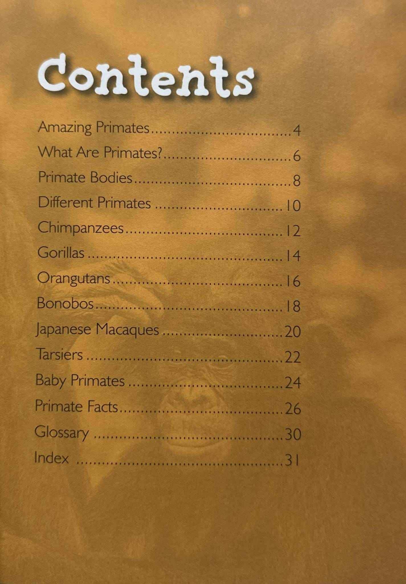 Primates (Introduction to Nature)