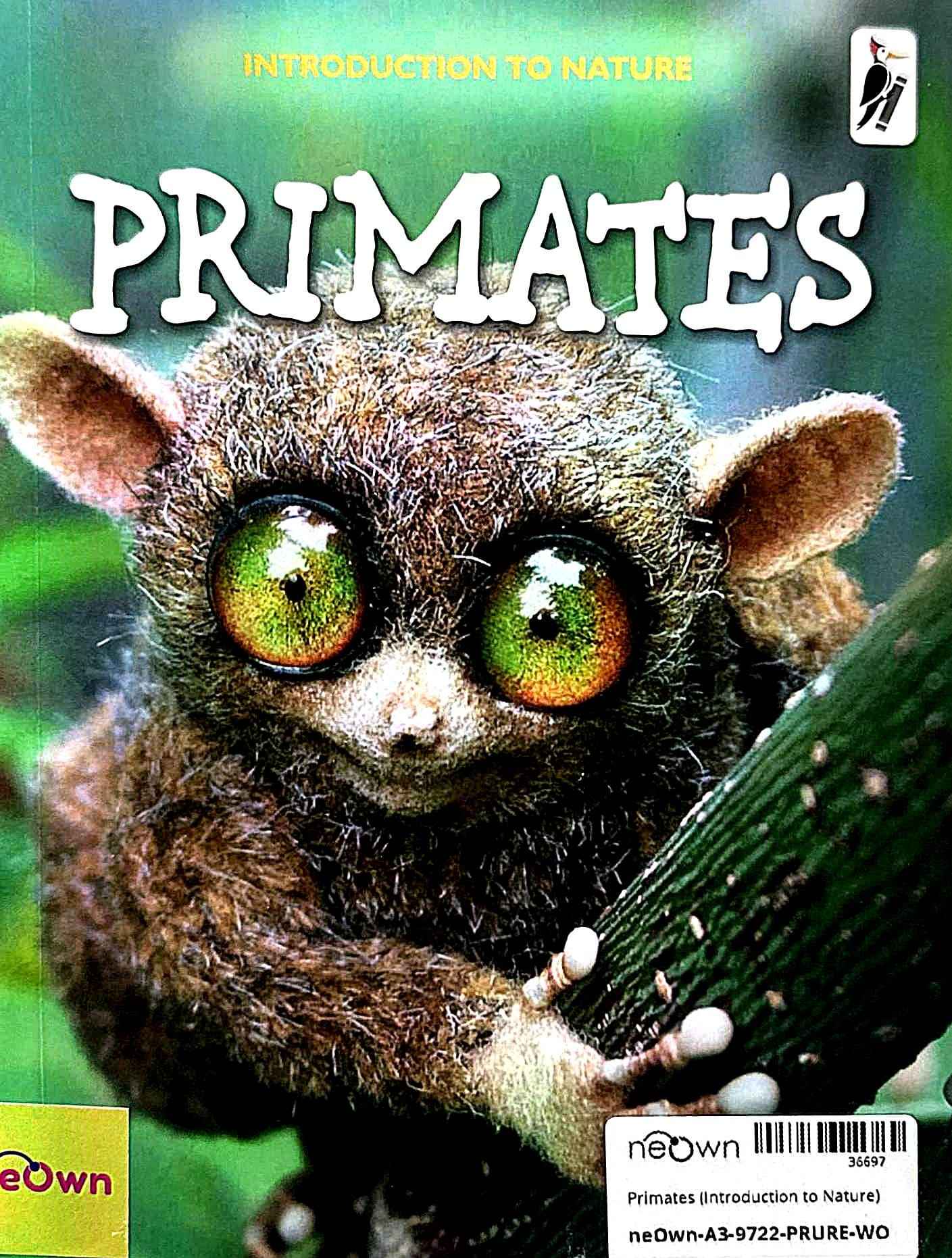 Primates (Introduction to Nature)