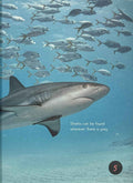 Sharks (Introduction to Nature)