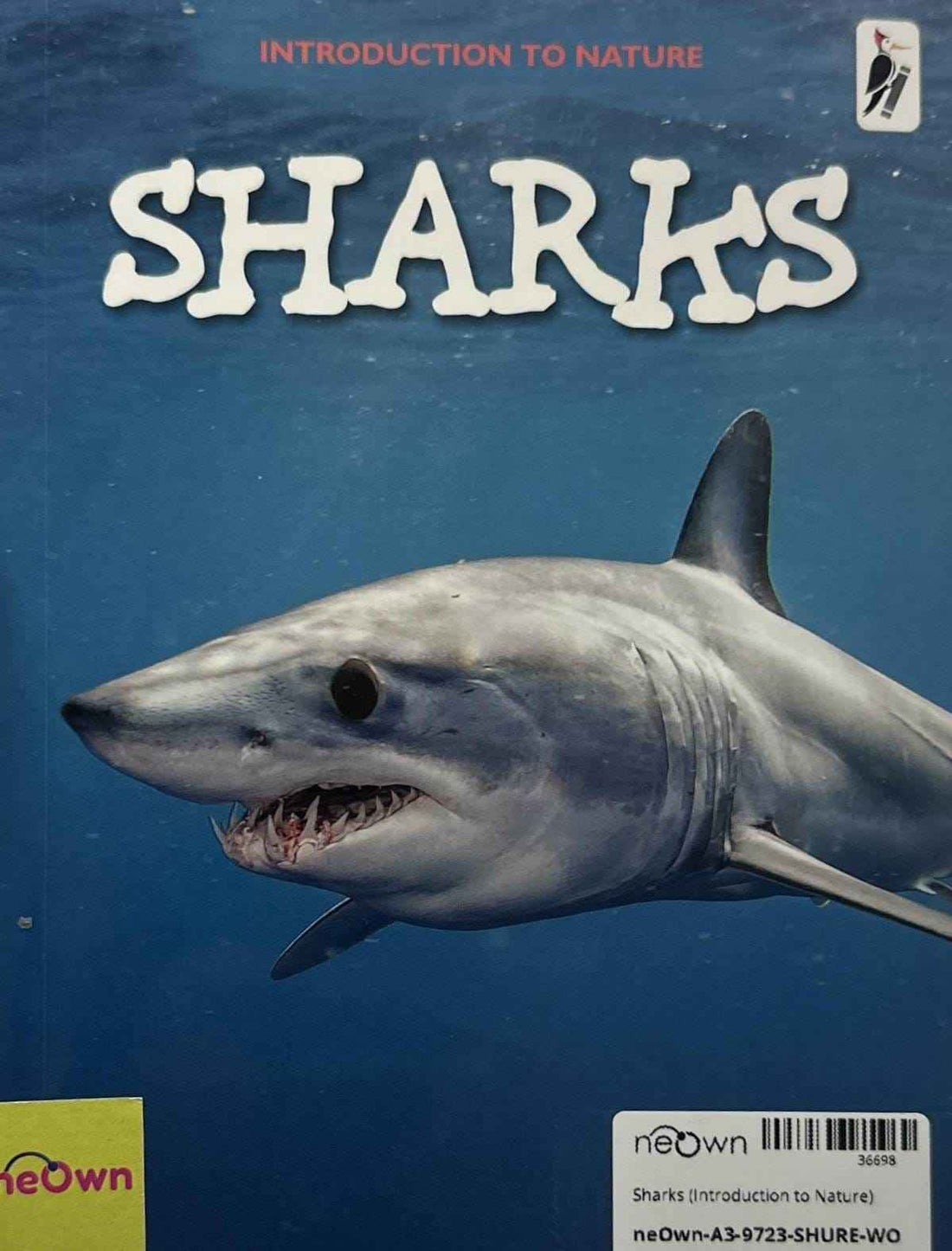 Sharks (Introduction to Nature)