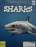 Sharks (Introduction to Nature)