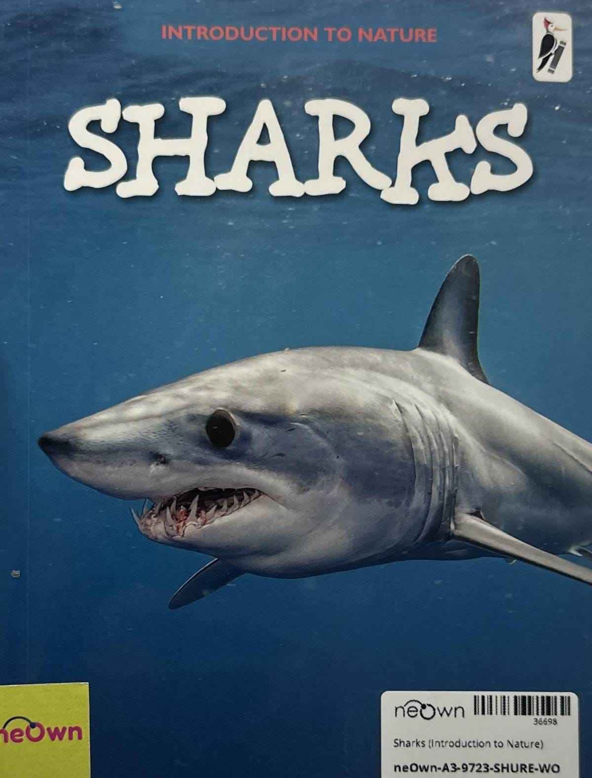 Sharks (Introduction to Nature)