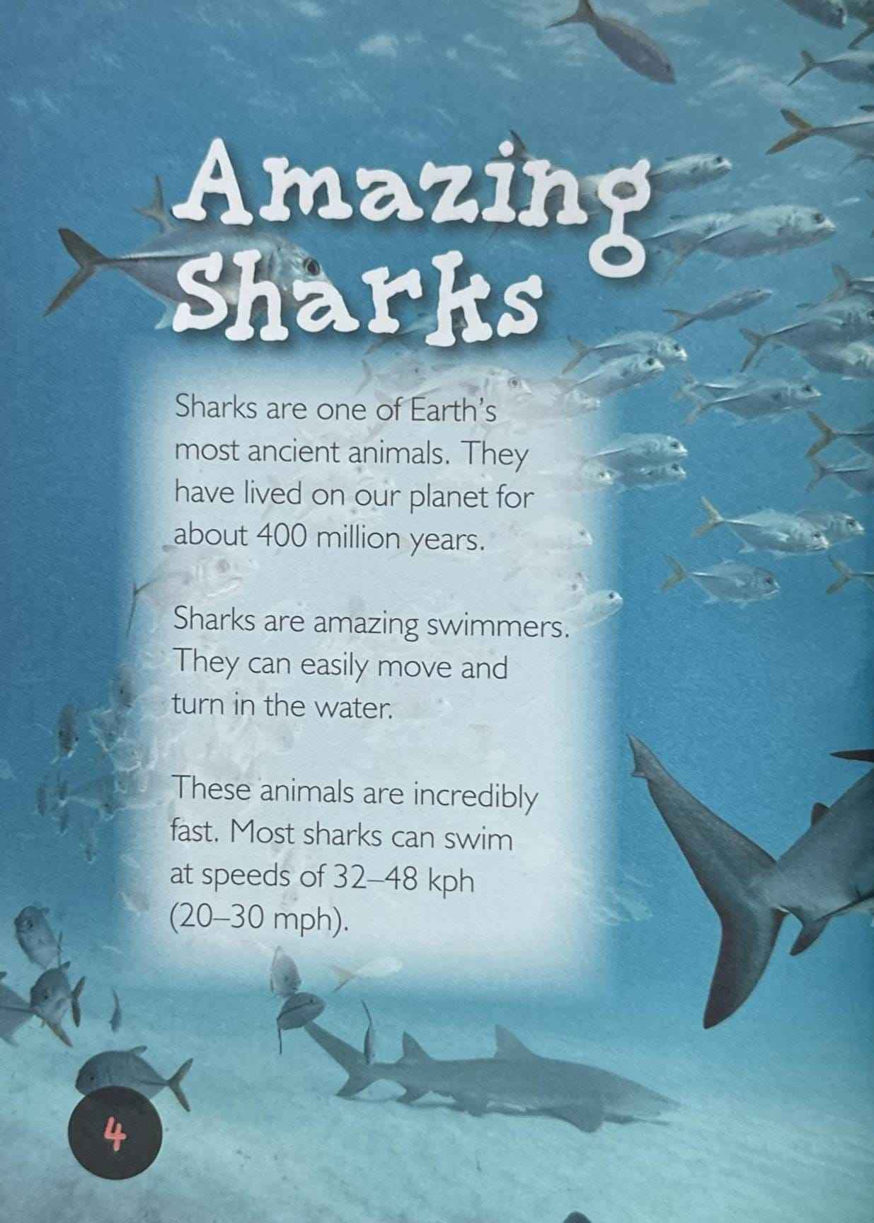 Sharks (Introduction to Nature)