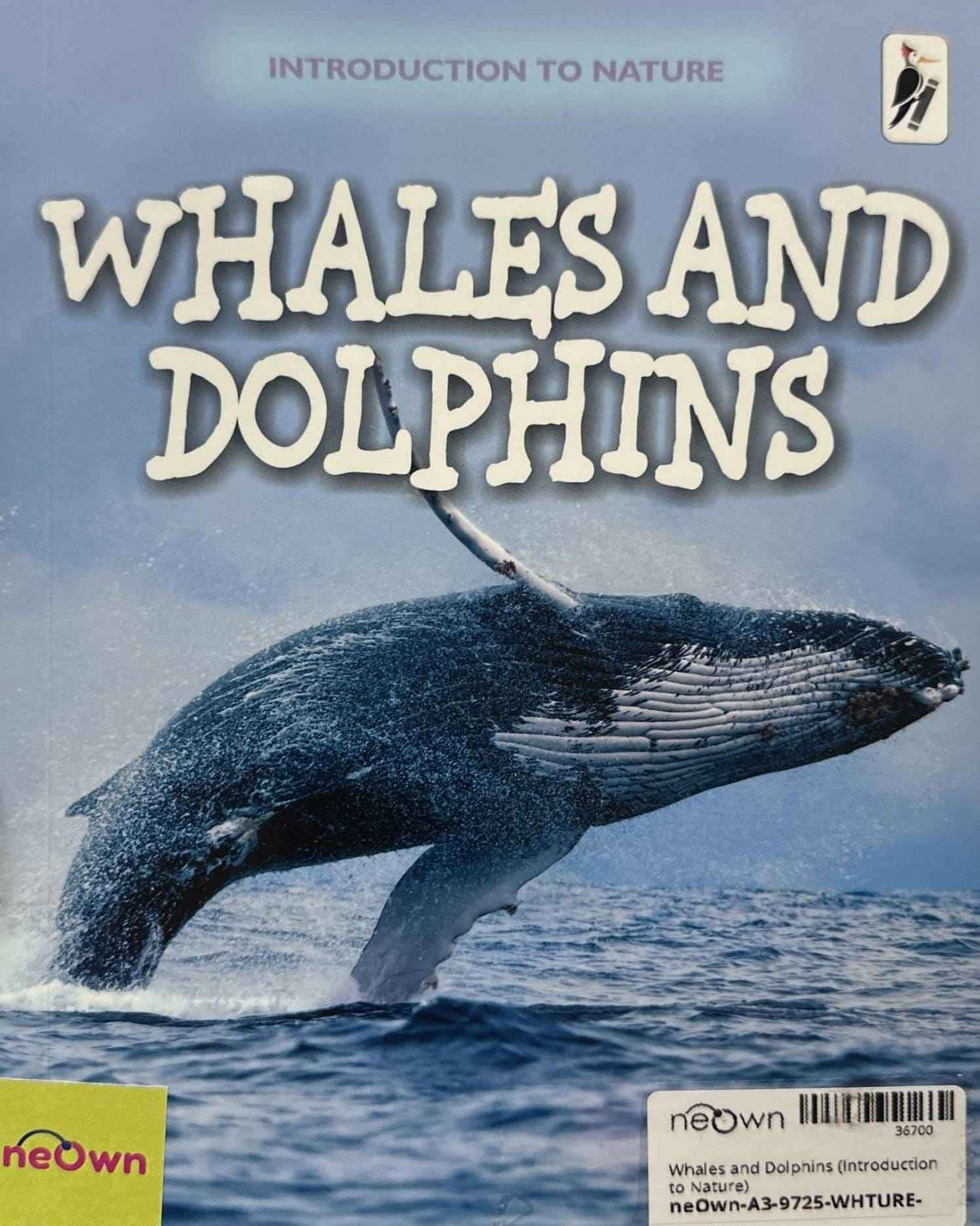 Whales and Dolphins (Introduction to Nature)