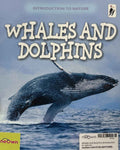 Whales and Dolphins (Introduction to Nature)