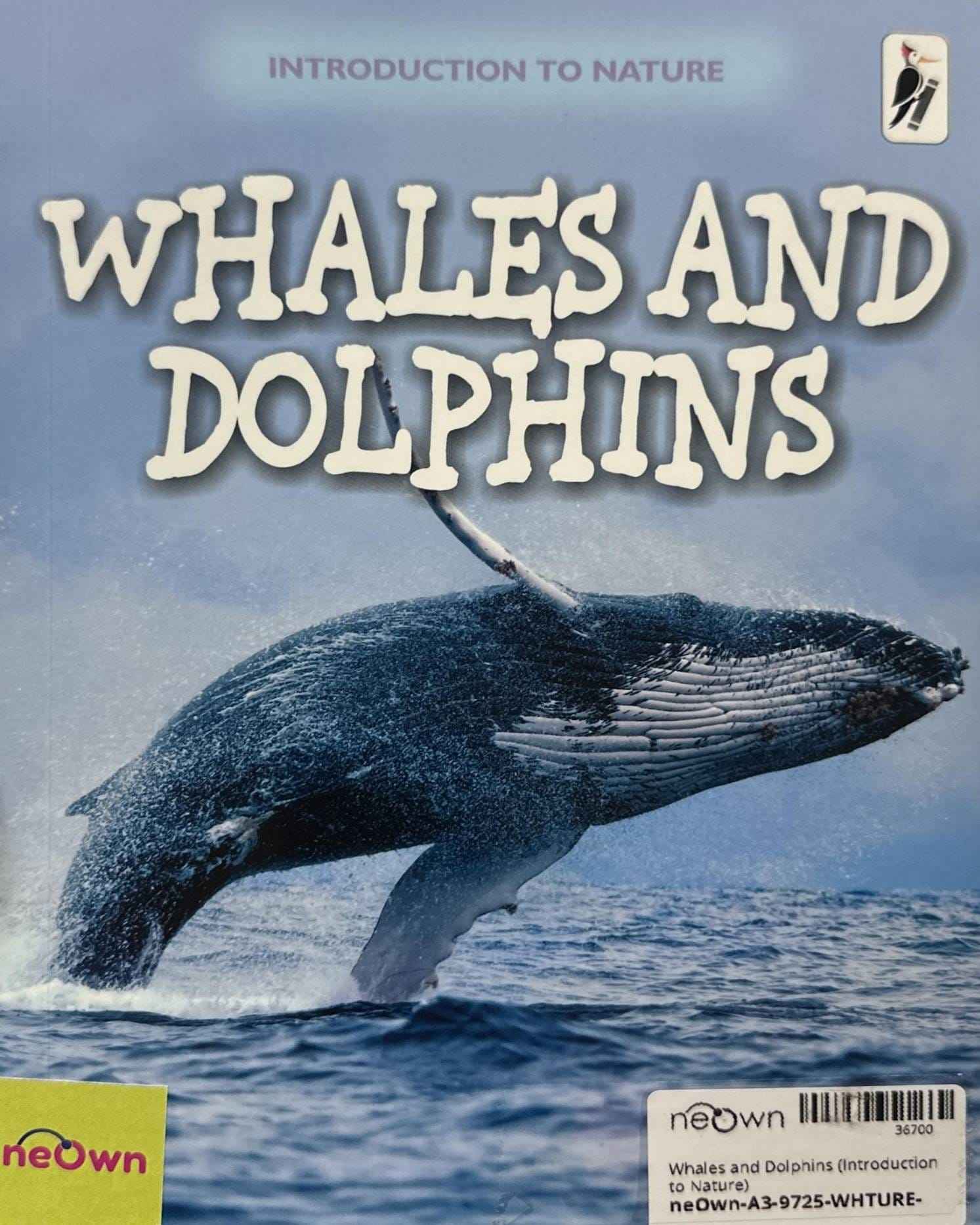 Whales and Dolphins (Introduction to Nature)