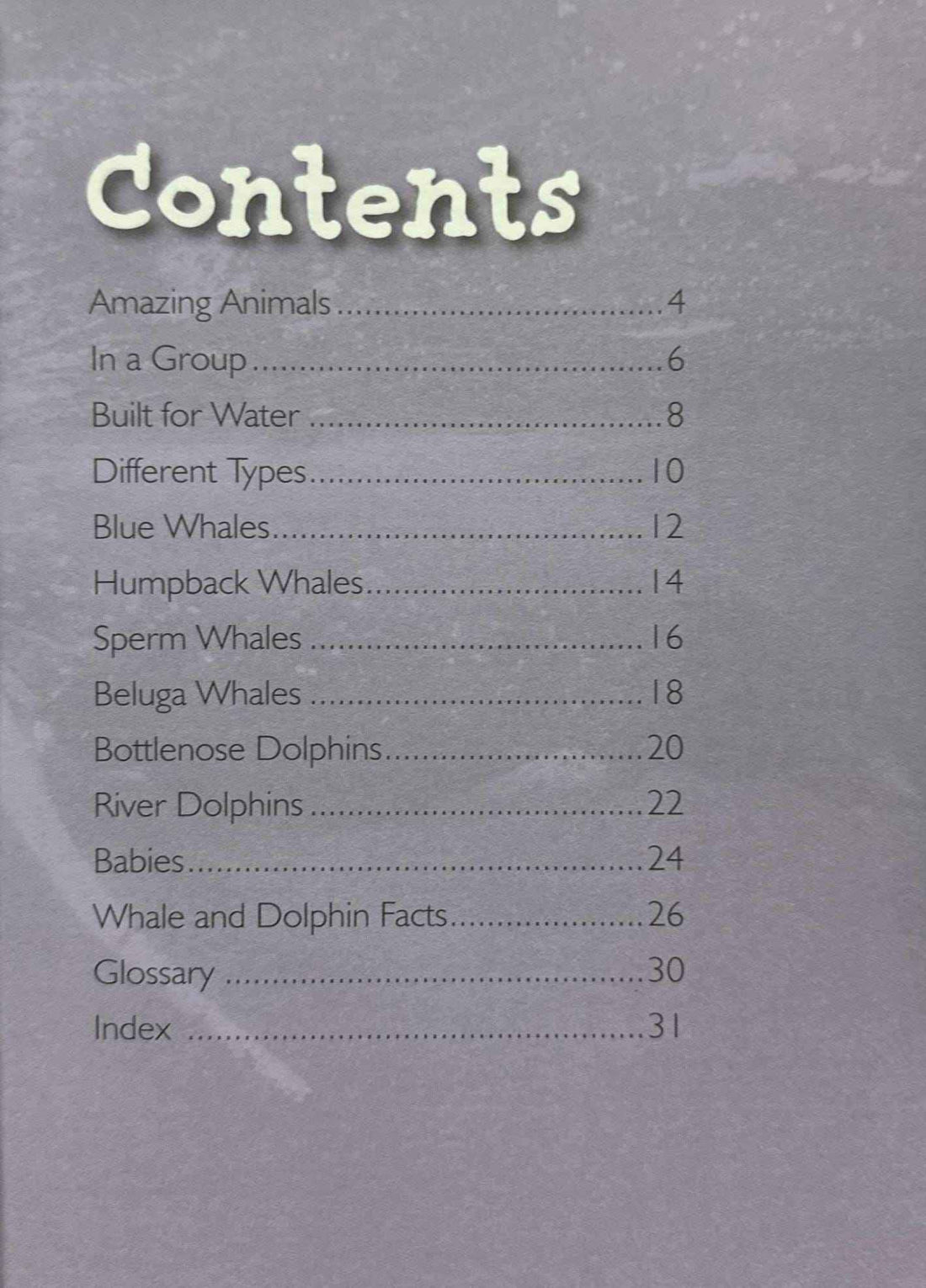 Whales and Dolphins (Introduction to Nature)