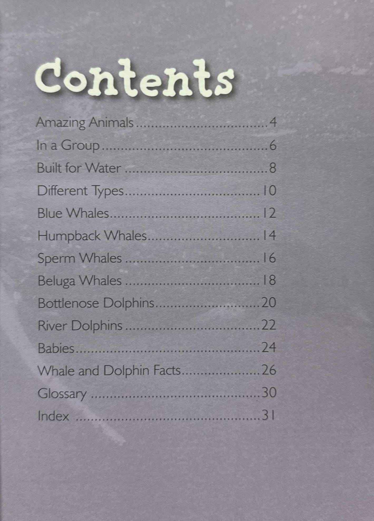 Whales and Dolphins (Introduction to Nature)