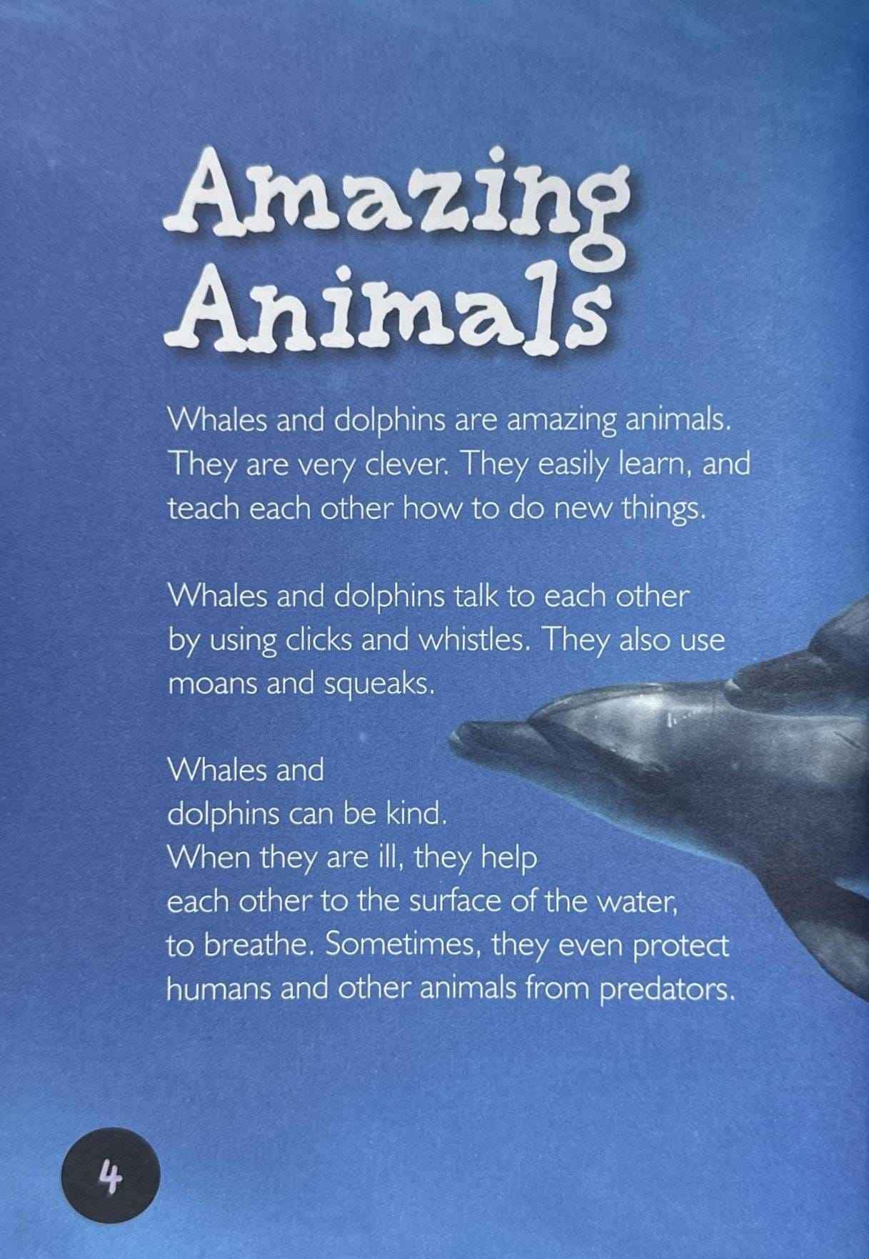 Whales and Dolphins (Introduction to Nature)