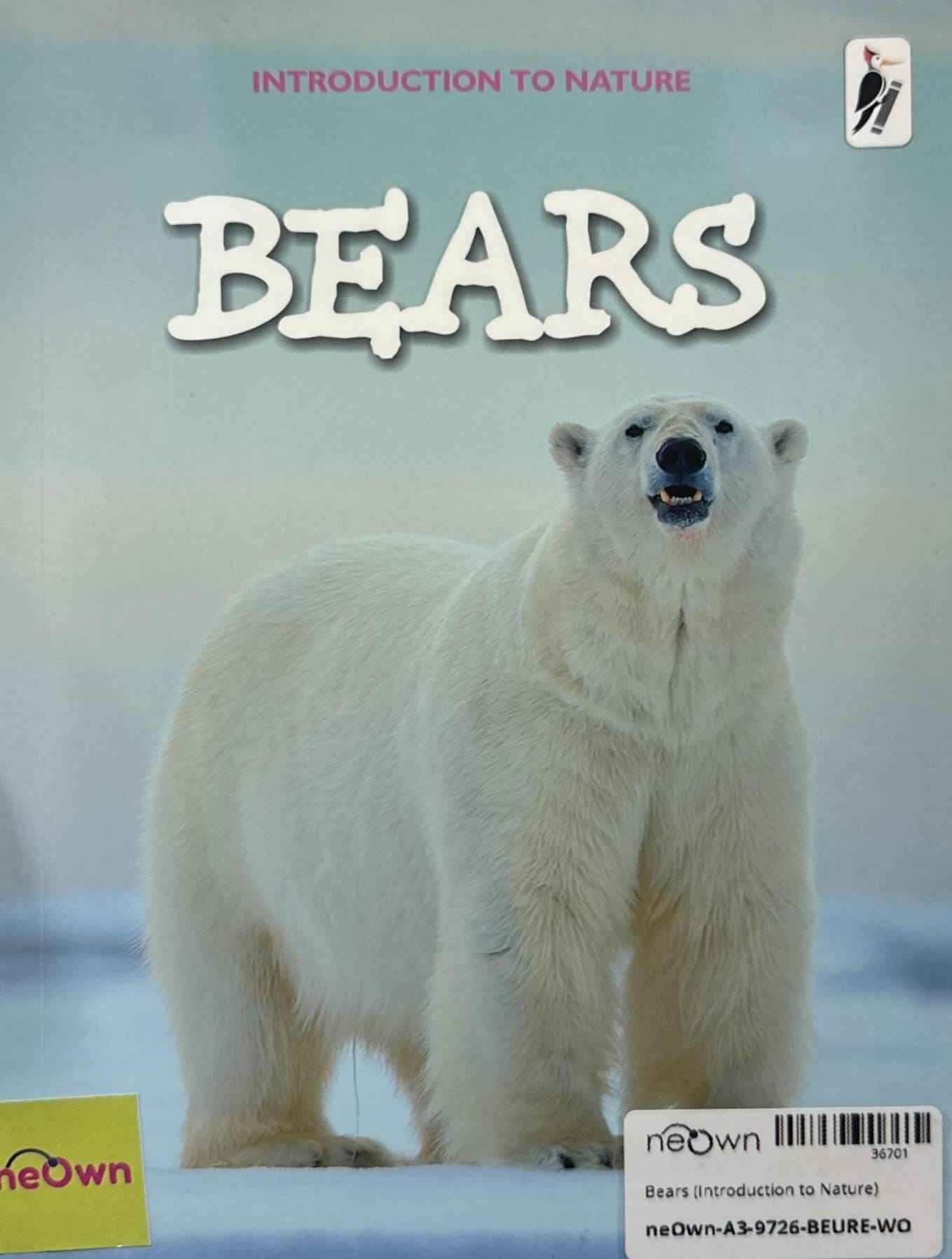 Bears (Introduction to Nature)