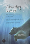 Bears (Introduction to Nature)