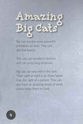Big Cats (Introduction to Nature)