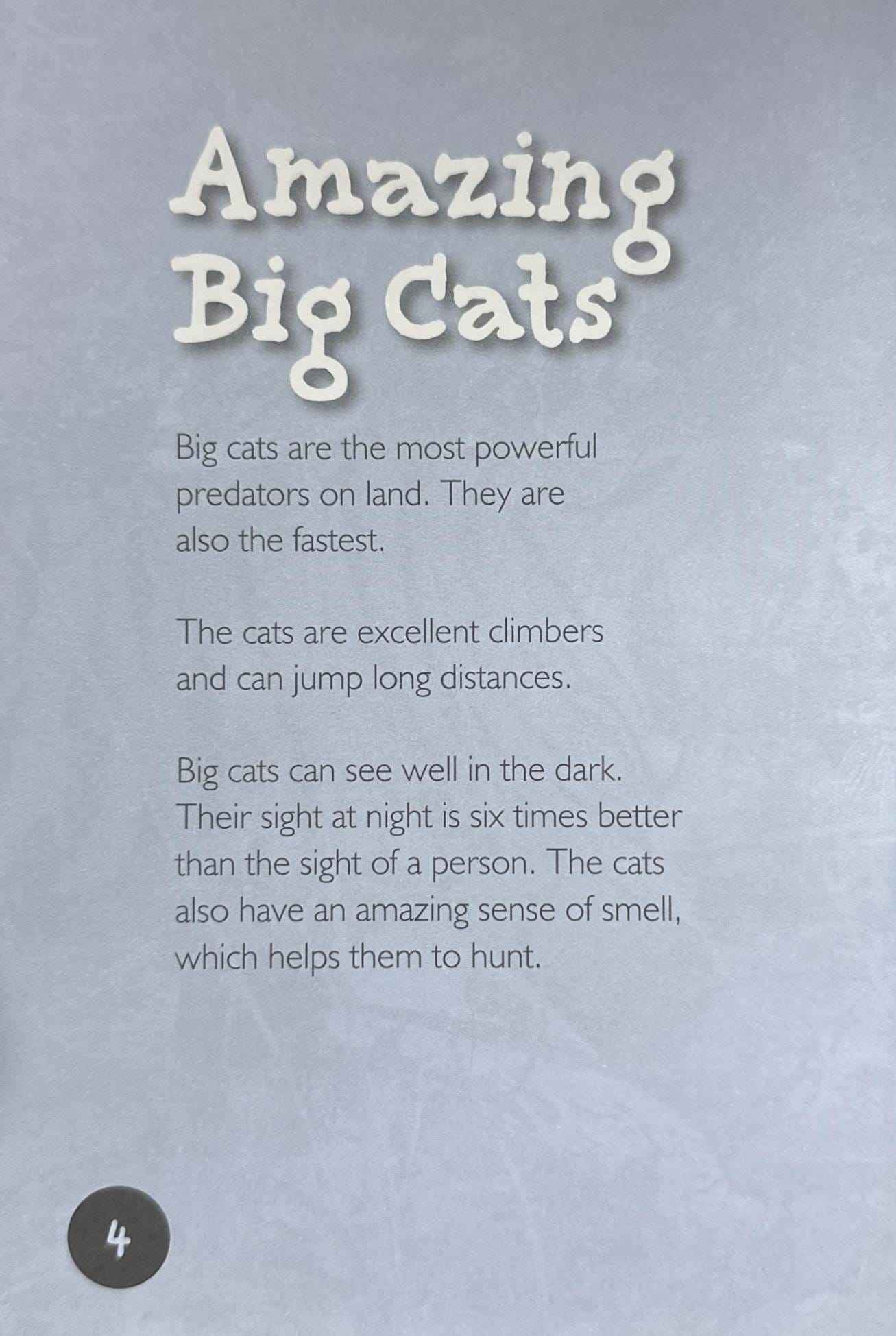 Big Cats (Introduction to Nature)