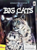 Big Cats (Introduction to Nature)