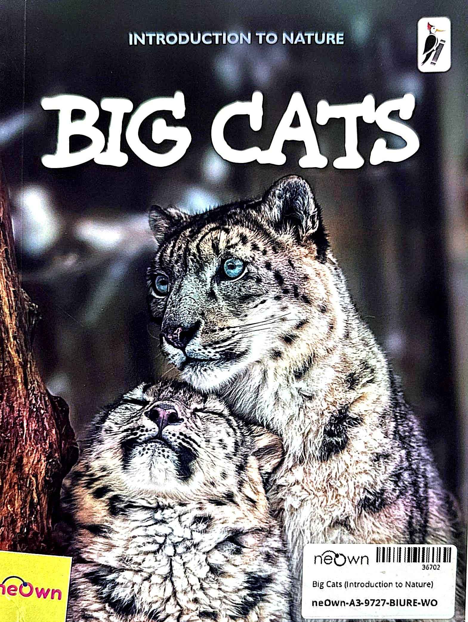 Big Cats (Introduction to Nature)