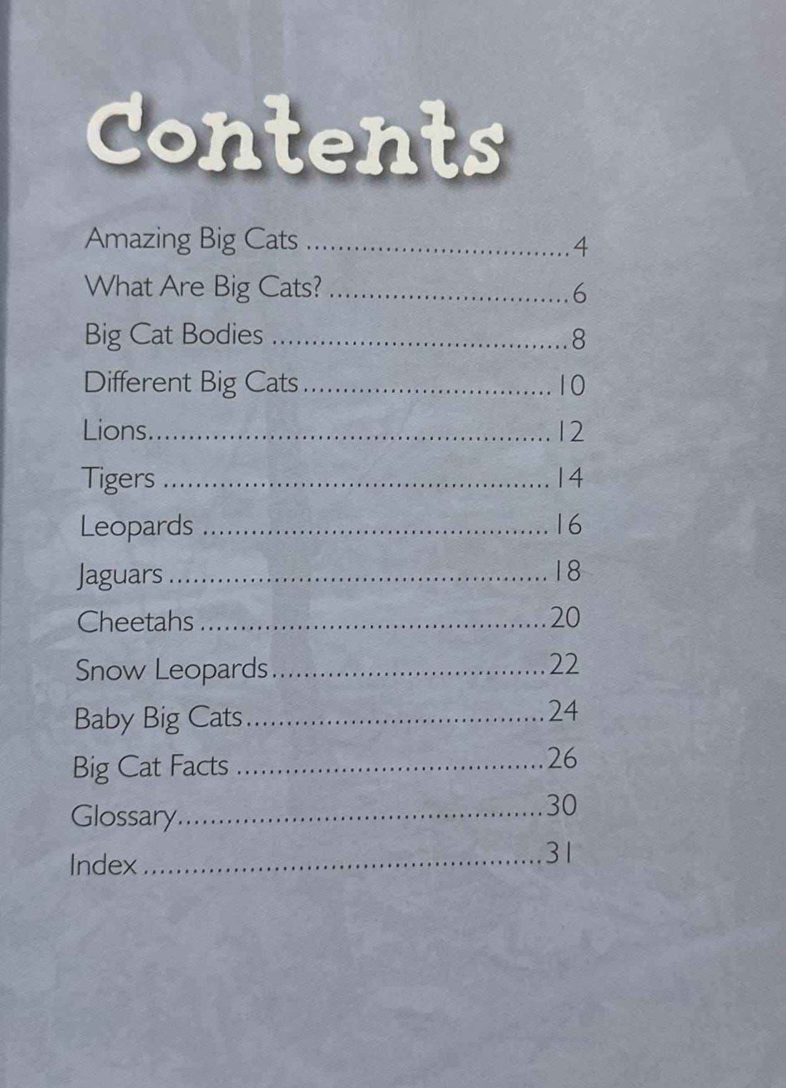 Big Cats (Introduction to Nature)