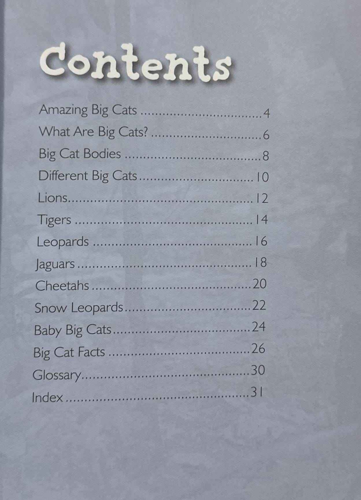 Big Cats (Introduction to Nature)
